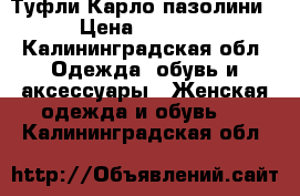 Туфли Карло пазолини › Цена ­ 1 300 - Калининградская обл. Одежда, обувь и аксессуары » Женская одежда и обувь   . Калининградская обл.